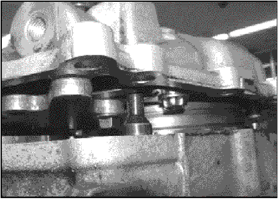 520065657_graphic-text257